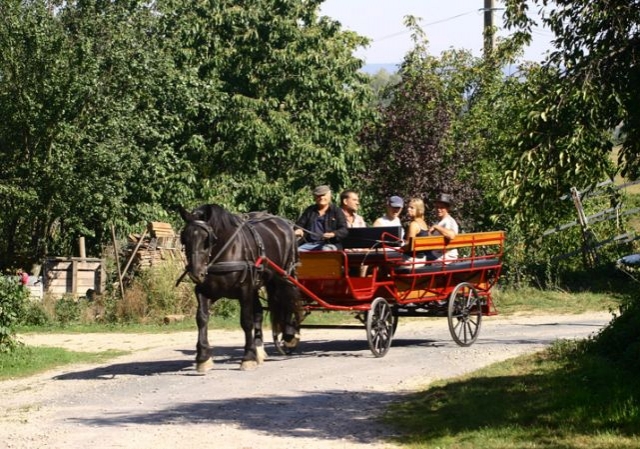  Paseo en carro de caballos